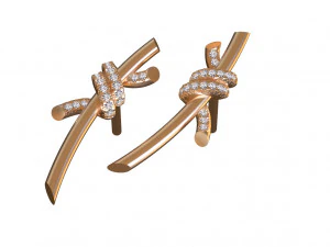 Earrings 3D Print Model