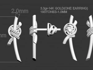 Earrings 3D Print Model