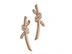 Earrings 3D Print Model