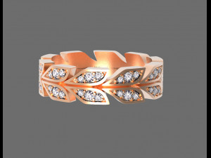 Ring 3D Print Model