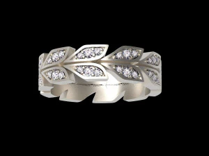 Ring 3D Print Model