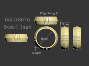 Ring 3D Print Model