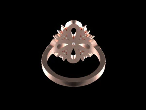 Ring 3D Print Model