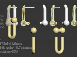 Earrings 3D Print Model