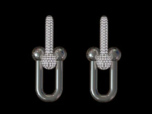 Earrings 3D Print Model