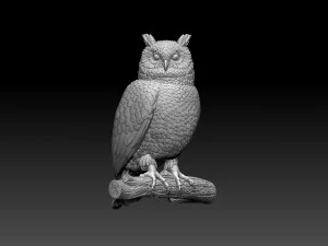 Uil vogel 3D printmodel