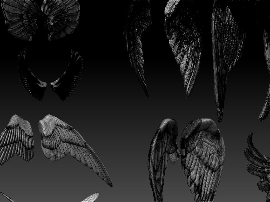 3d models wings