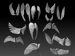 Wings 3D Print Model