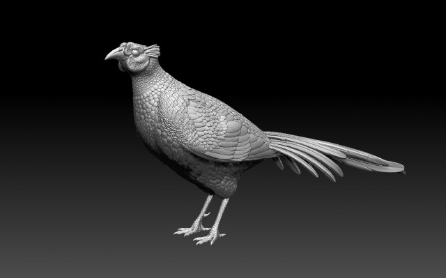 Pheasant 3D 打印模型 .c4d .max .obj .3ds .fbx .stl .blend 