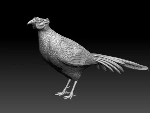 キジ 3Dプリントモデル