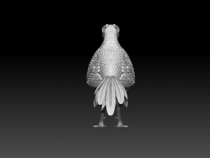 Pheasant 3D 打印模型