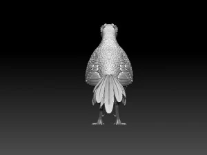 Pheasant 3D Print Model