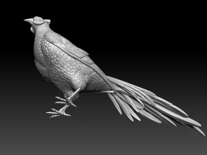 Pheasant 3D 打印模型