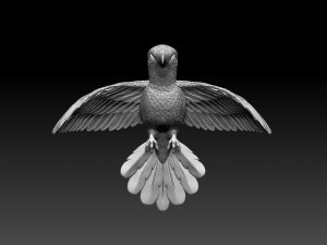 Colibri humming bird 3D 프린트 모델