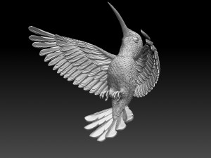 Colibri humming bird 3D 프린트 모델