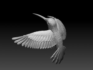 Colibri humming bird 3D 프린트 모델