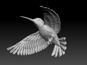 Colibri humming bird 3D 프린트 모델