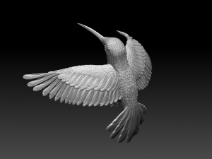 Colibri humming bird 3D 프린트 모델
