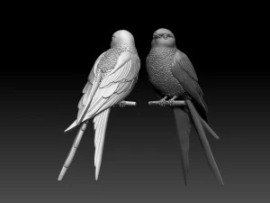 Swallow 3D Print Model
