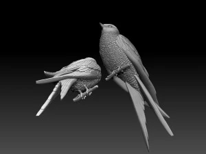Swallow 3D Print Model
