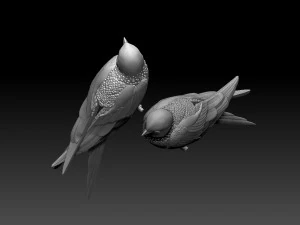 Swallow 3D Print Model