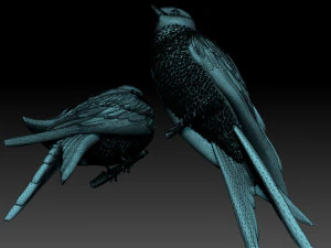 Swallow 3D Print Model