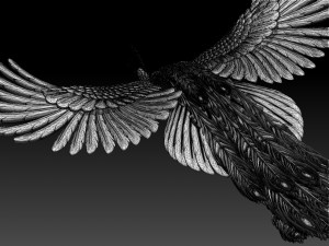 Peacock Modelo de impresión 3D