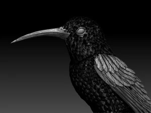 Colibri humming bird 3D Print Model