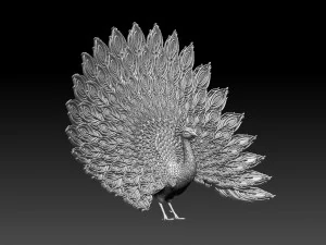 Peacock 3D Print Model