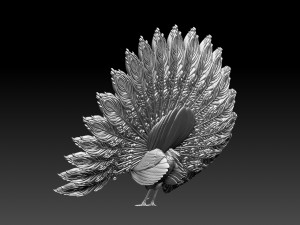 Peacock Modelo de impresión 3D