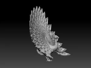 Peacock 3D Print Model
