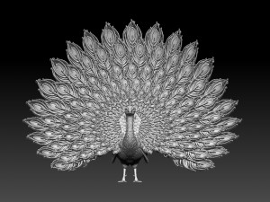 Peacock Modelo de impresión 3D