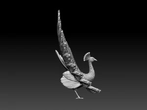 Peacock 3D Print Model