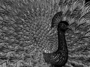 Peacock Modelo de impresión 3D