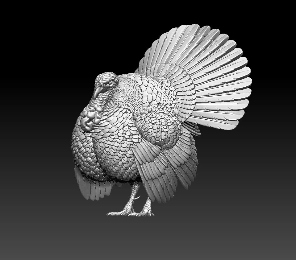 Turkey 3D Print Model .c4d .max .obj .3ds .fbx .stl .blend