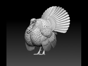 Turkey 3Dプリントモデル