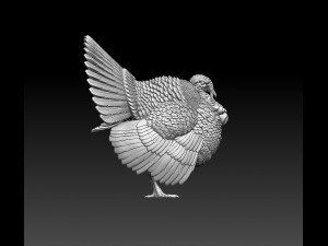 Turkey 3Dプリントモデル