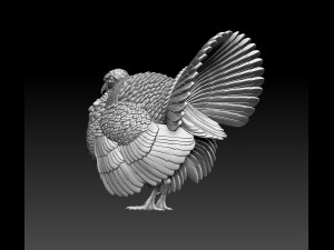 Turkey 3Dプリントモデル
