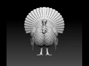 Turkey 3D Print Model