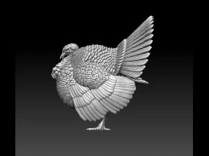 Turkey 3D Print Model