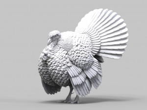 Turkey 3Dプリントモデル