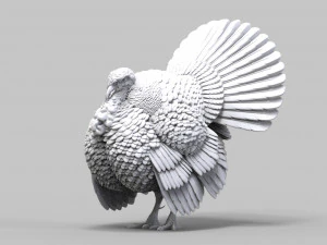 Turkey 3D Print Model