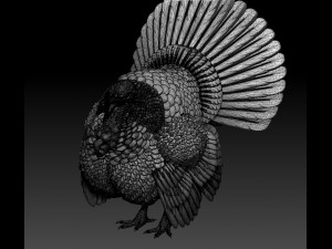 Turkey 3Dプリントモデル
