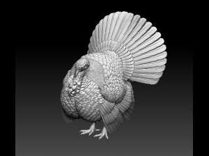 Turkey 3Dプリントモデル