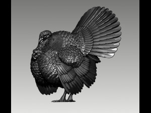 Turkey 3Dプリントモデル