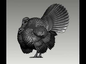 Turkey 3D Print Model
