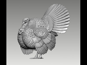 Turkey 3Dプリントモデル