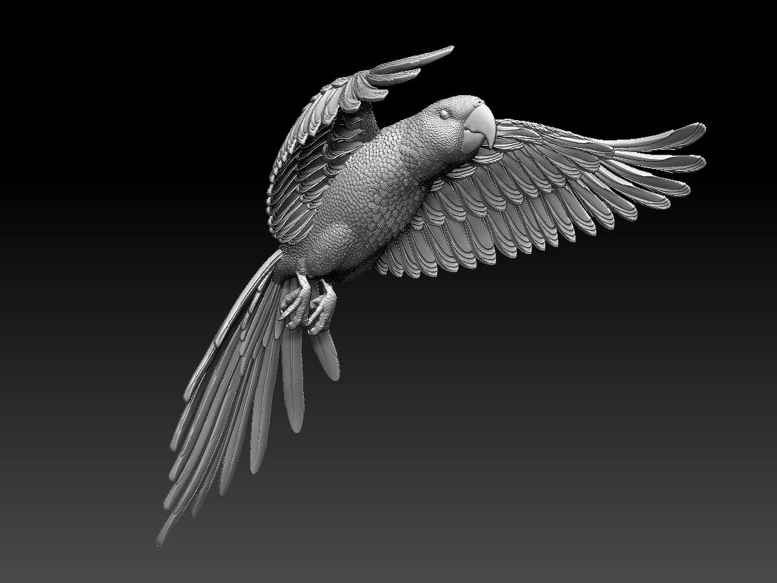 Parrot 3D Print Model .c4d .max .obj .3ds .fbx .stl .blend 