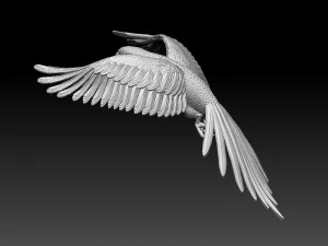 Parrot 3D Print Model