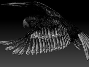Parrot Modelo de impresión 3D